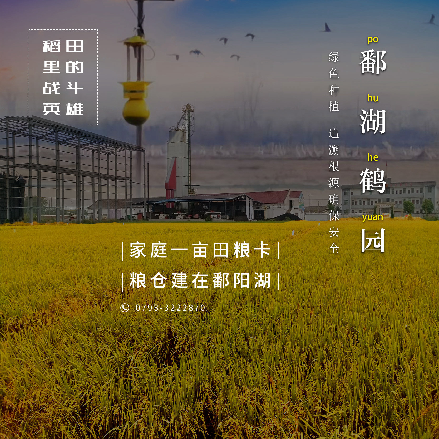 募集#&#鄱陽湖一畝良田的主人啦！